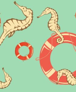 Sea Horses and Lifebuoys